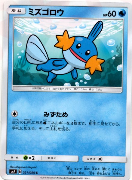 画像1: ミズゴロウ(C){水}〈021/096〉[SM7] (1)
