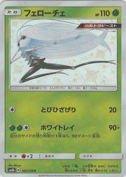 画像1: フェローチェ(S){草}〈165/150〉[SM8b] (1)