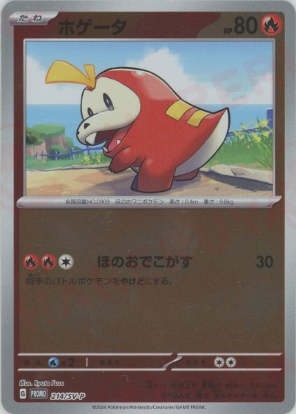 画像1: ホゲータ(PROMO){炎}〈214/SV-P〉[SV-P] (1)