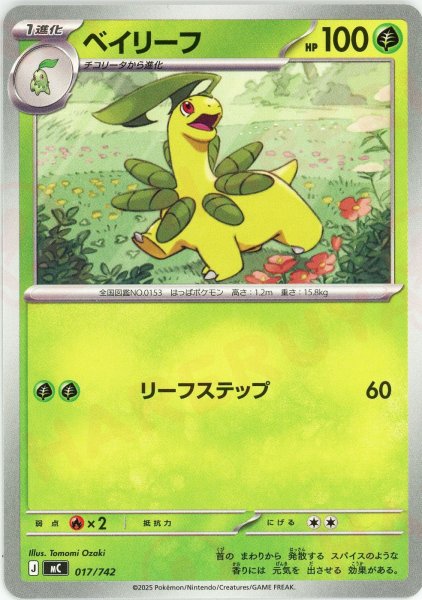 画像1: ベイリーフ(-){草}〈017/742〉[MC] (1)