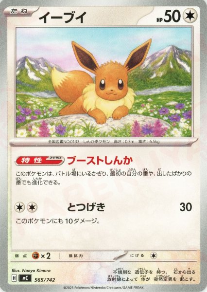 画像1: イーブイ(-){無}〈565/742〉[MC] (1)