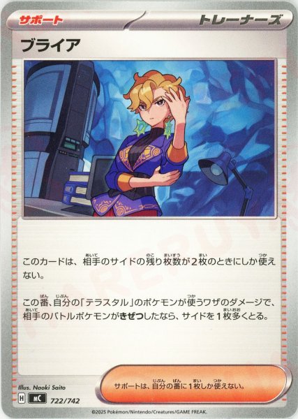 画像1: ブライア(-){サポート}〈722/742〉[MC] (1)