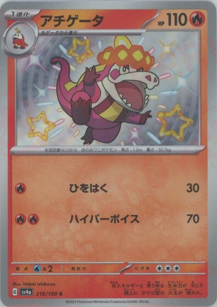 画像1: アチゲータ(S){炎}〈216/190〉[SV4a] (1)