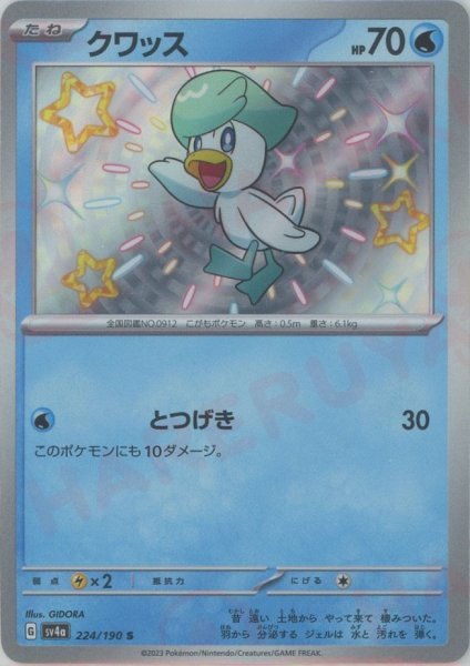 画像1: クワッス(S){水}〈224/190〉[SV4a] (1)