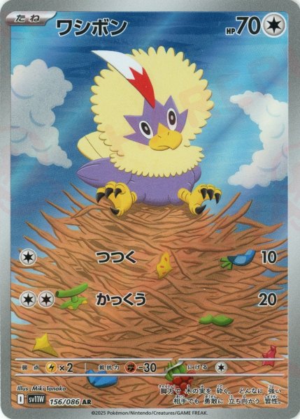 画像1: ワシボン(AR){無}〈156/086〉[SV11W] (1)