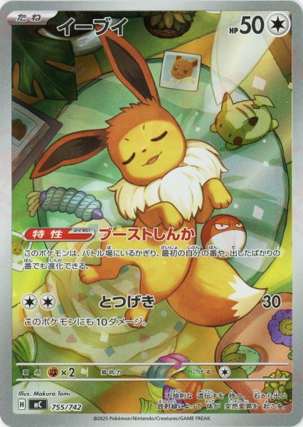 画像1: イーブイ:AR仕様(-){無}〈755/742〉[MC] (1)