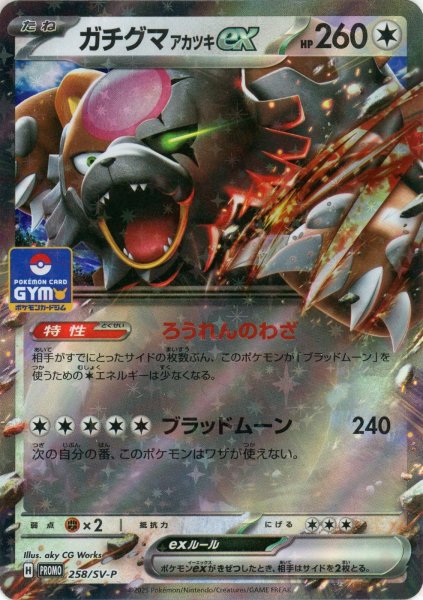 画像1: ガチグマアカツキex(PROMO){無}〈258/SV-P〉[SV-P] (1)
