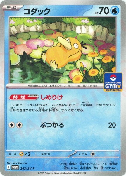 画像1: コダック(PROMO){水}〈262/SV-P〉[SV-P] (1)